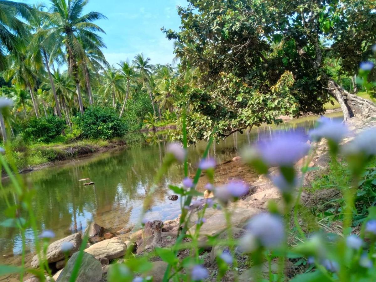 Walk In Homestay Ko Kut Kültér fotó